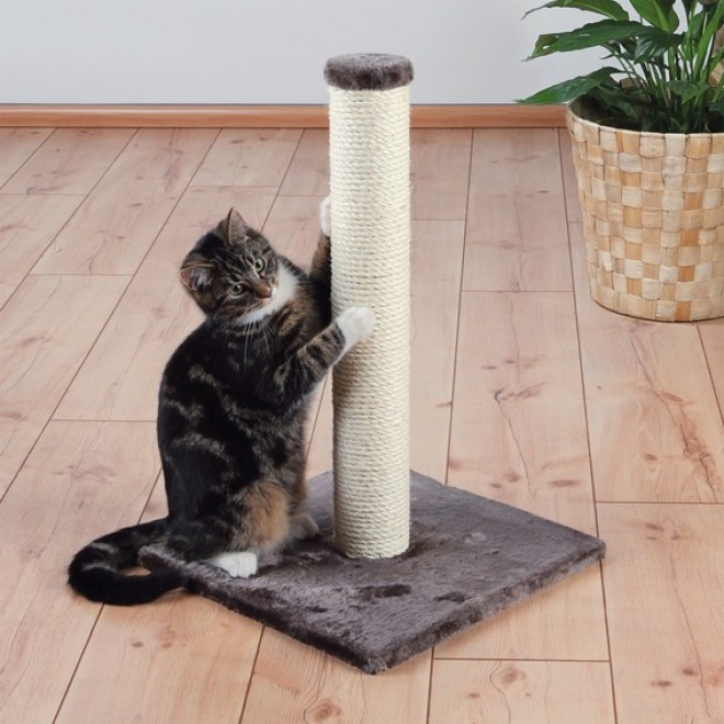 Kratzstamm Parla in beige oder plantingrau, 62 cm