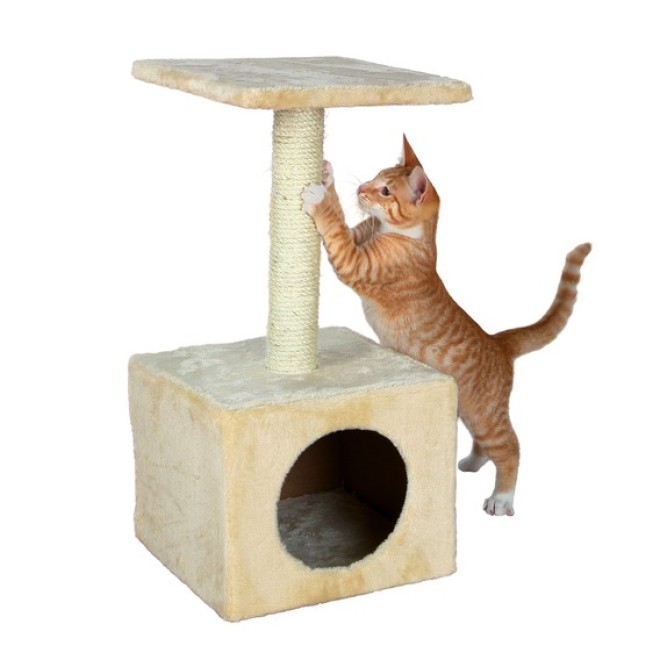 Junior Kratzbaum Zamora mit Kuschelhöhle, 60 cm hoch