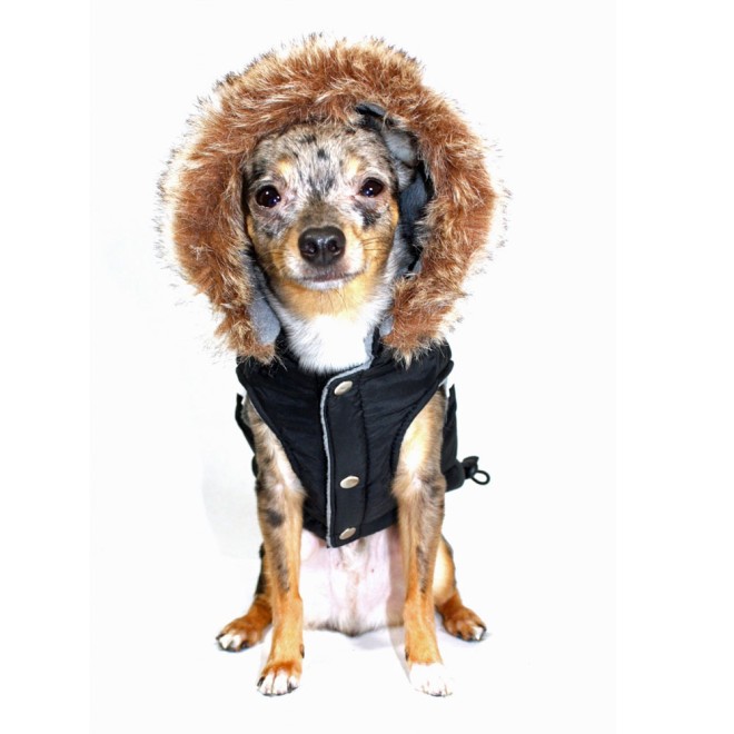 Hundeparka mit Fellkragen Alpine Black Gr. M Rücken 30 cm