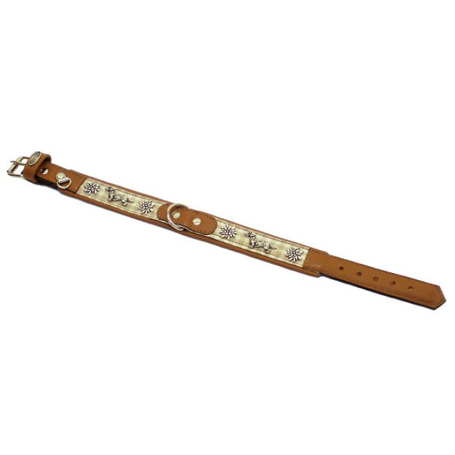Alpen-Hundehalsband mit Dackelmotiv 42 cm Länge
