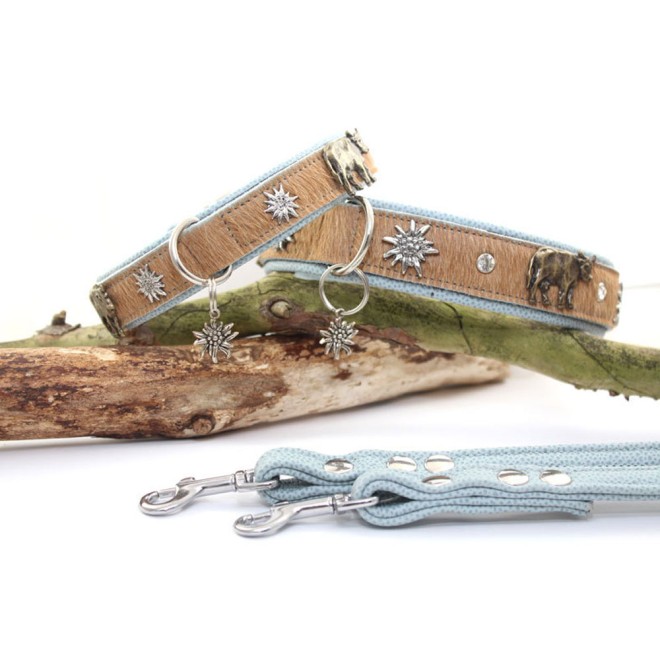 Fell-Hundehalsband Alpenlook mit Kühen & Edelweiß hellblau