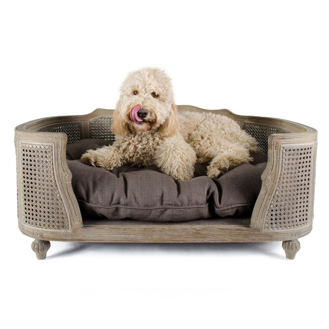 Barock-Hundesofa Louis XVI Arthur taupe Gr. S, M, L