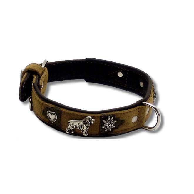 Cocker-Hundehalsband Starnberg