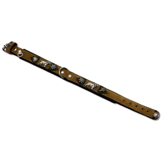 Cocker-Hundehalsband Starnberg