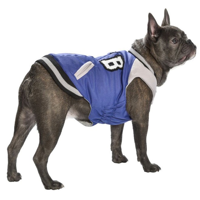 College Jacke für Hunde Innenfutter herausnehmbar Gr. 34, 42