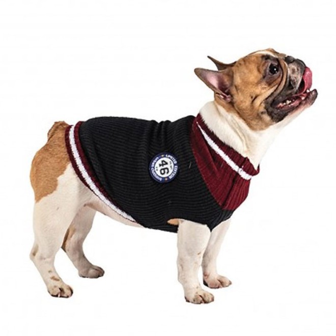 Collegepullover für kleine bis mittelgroße Hunde