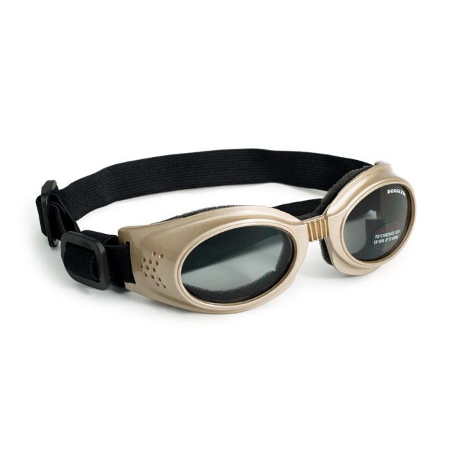 Hundebrille Chrome