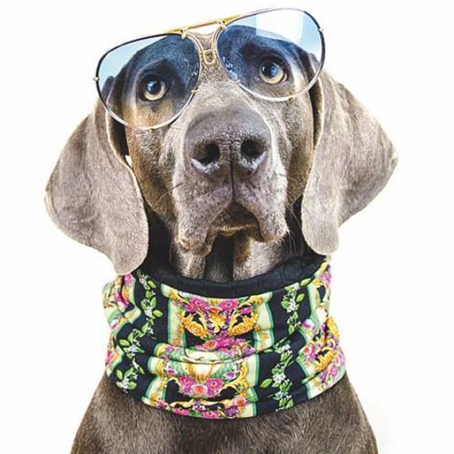 Hundeschal Doggyloop HIRSCH ROYAL Gr. M