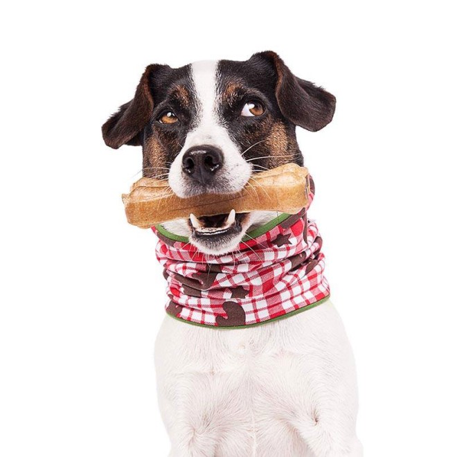 Doggyloop EDDY ELCH Gr. S, XL, XXL