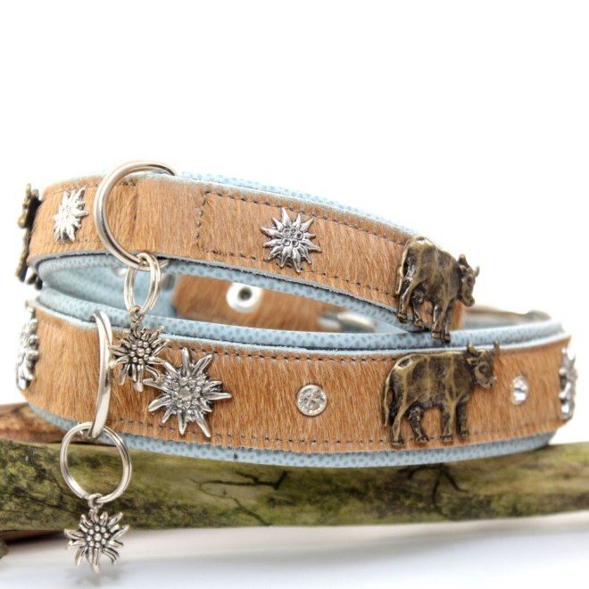 Fell-Hundehalsband Alpenlook mit Kühen & Edelweiß hellblau