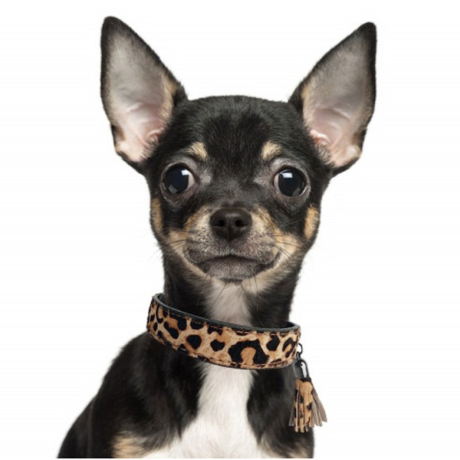 Milk & Pepper Fell-Hundehalsband OCELOT mit Quaste