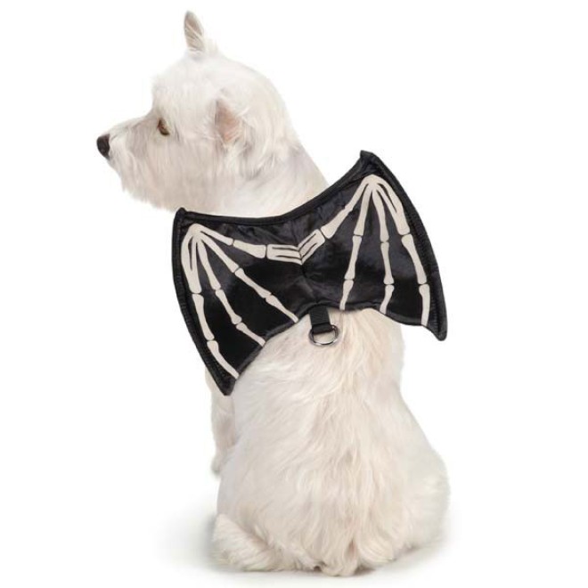 Leuchtendes Fledermaus-Hundegeschirr für Halloween
