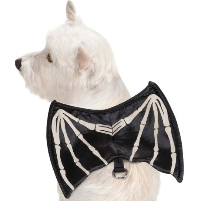 Leuchtendes Fledermaus-Hundegeschirr für Halloween