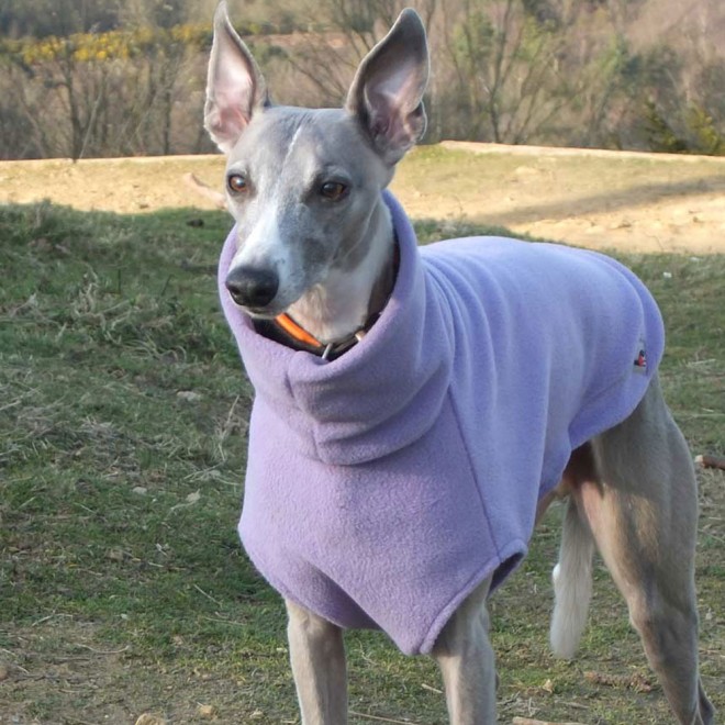 Fleece-Windhundpullover flieder Grafschaft Kent