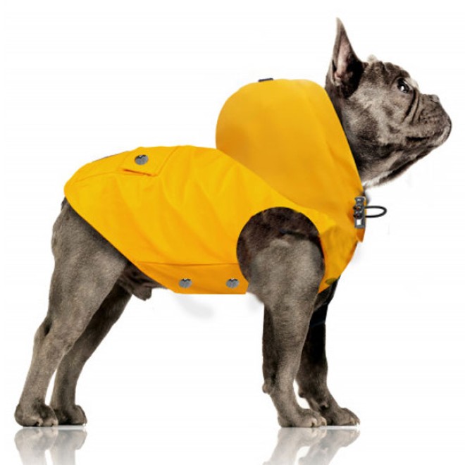 Gelber Friesennerz YACHTING für Mops & Bully