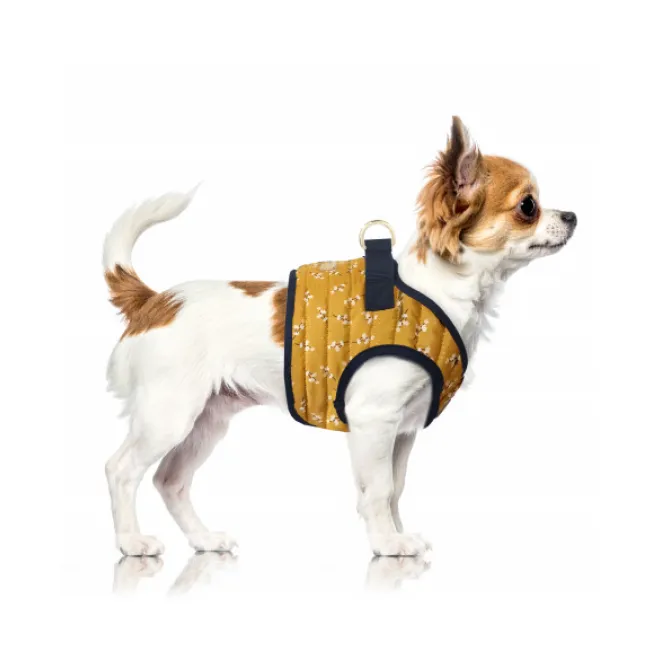 Milk & Pepper Hundegeschirr EMMY mit Blumenmuster