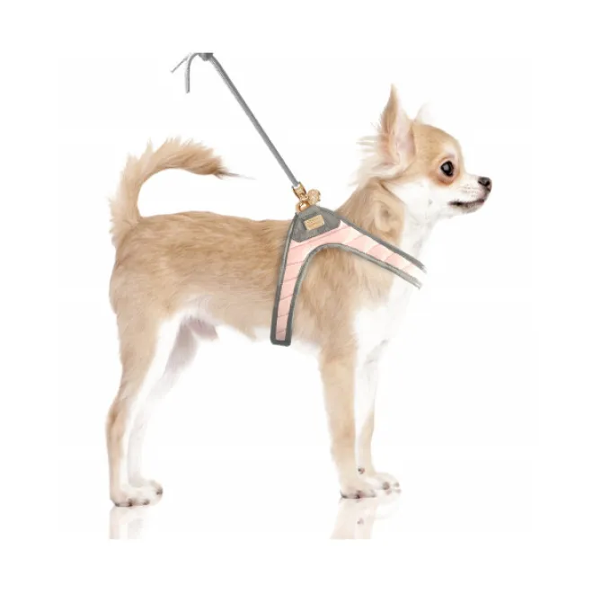 Step-In Hundegeschirr COLINE rose