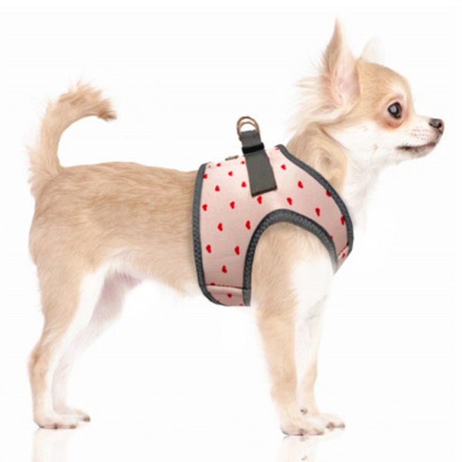 Milk & Pepper Hundegeschirr Suzanne mit roten Herzen