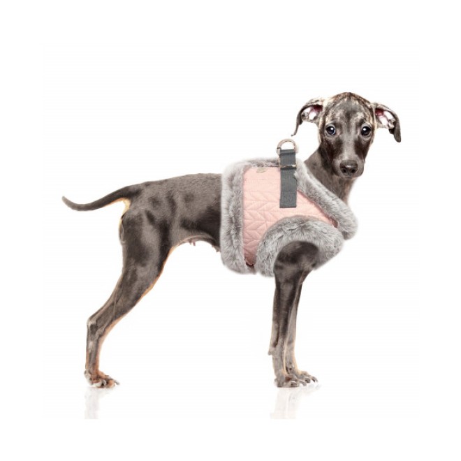 Milk & Pepper Hundegeschirr JANETTE mit Fellbesatz