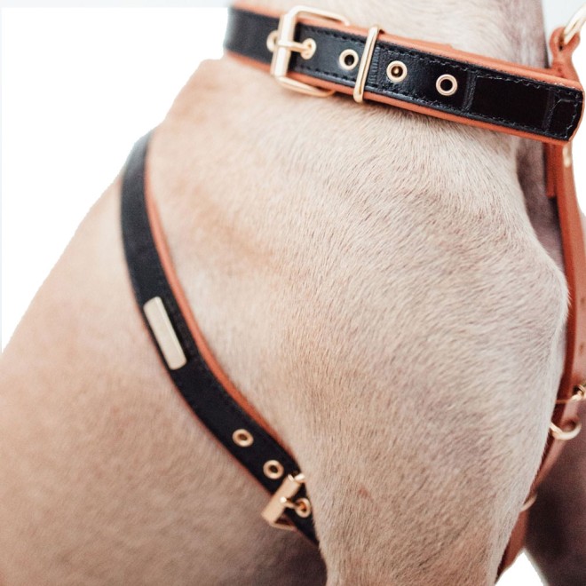 Exklusives Hundegeschirr Leder Milano Black
