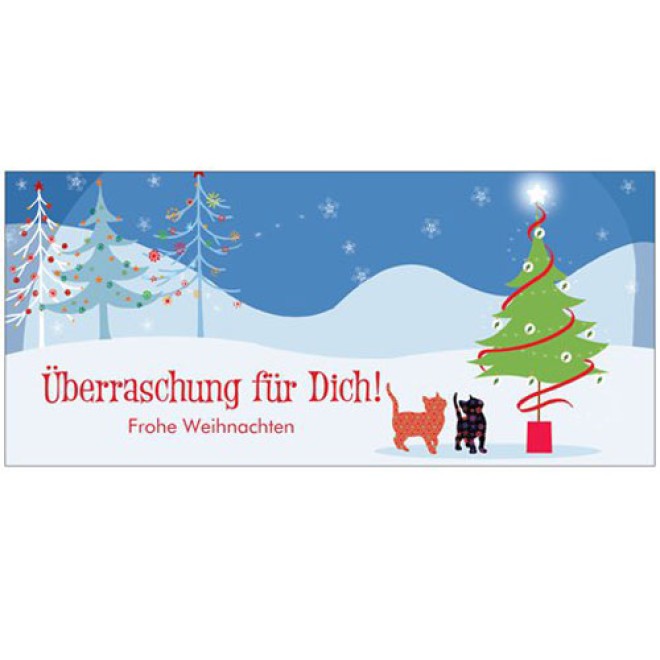 Weihnachts-Überraschungsbox für Katzen