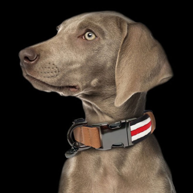 Milk & Pepper maritimes Nylon-Hundehalsband HERITAGE