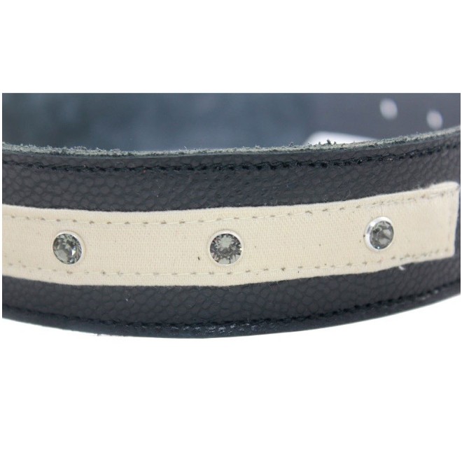 Hundehalsband Sir 42 cm Länge