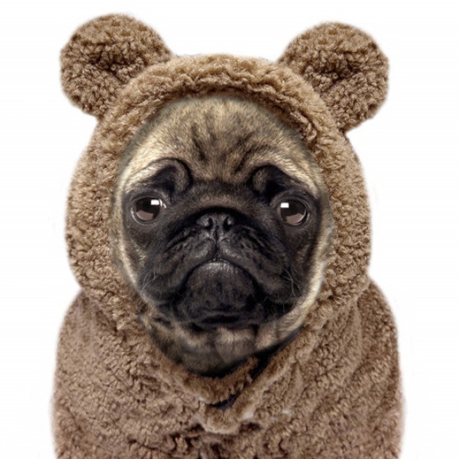 Milk & Pepper gefütterter Hundehoodie Ayden camel