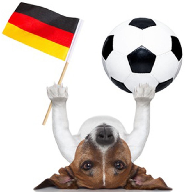 Hunde-Überraschungspaket FAN-BOX - die Fussballbox für 4 Pfoten