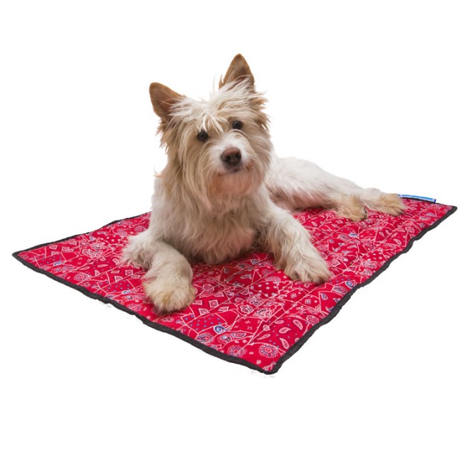 Hunde-Kühlmatte Red Western 100 x 90 cm