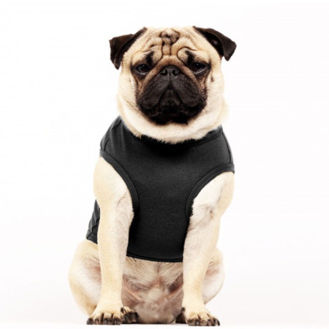 Milk & Pepper Darren Hunde-T-Shirt ROCK auch für Bully & Co.