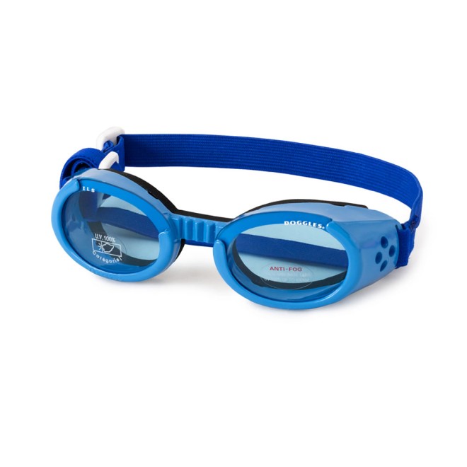 Hundebrille Blue Prince