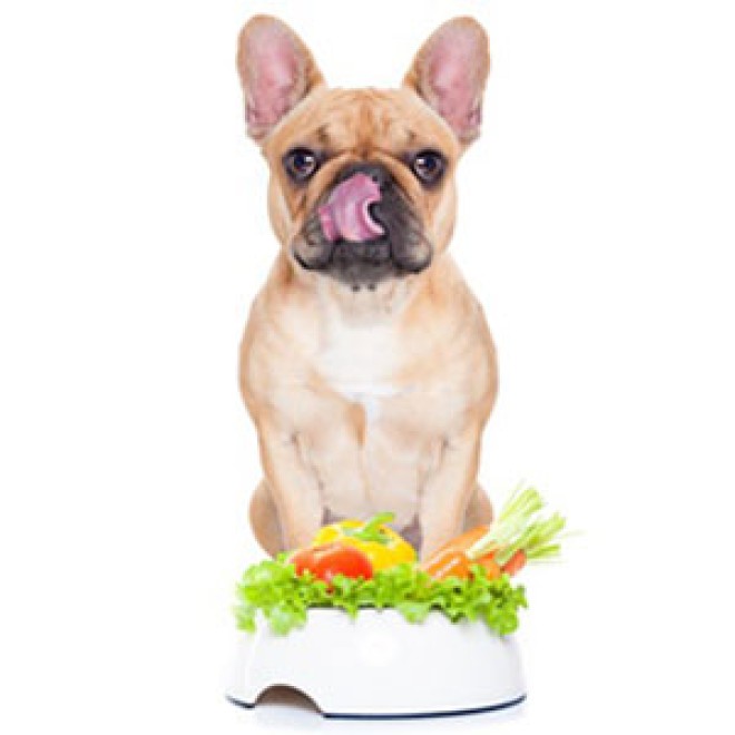 Hunde-Überraschungspaket BE VEGGIE