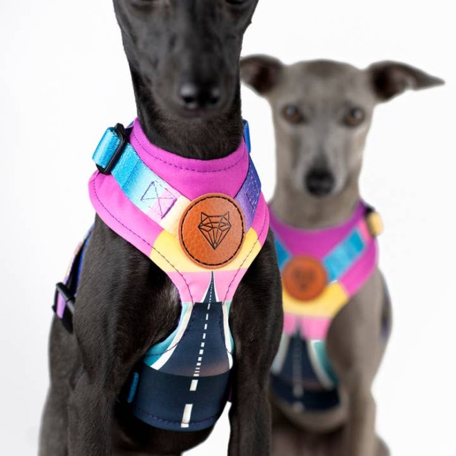 Atmungsaktives Hundegeschirr California