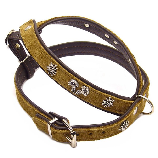 Hundegeschirr Starnberg 40 bis 70 cm Bauchgurt