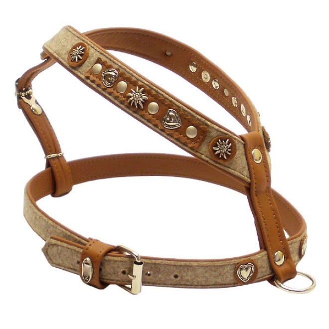 Filz-Hundegeschirr Tegernsee 50 - 70 cm Bauchgurt