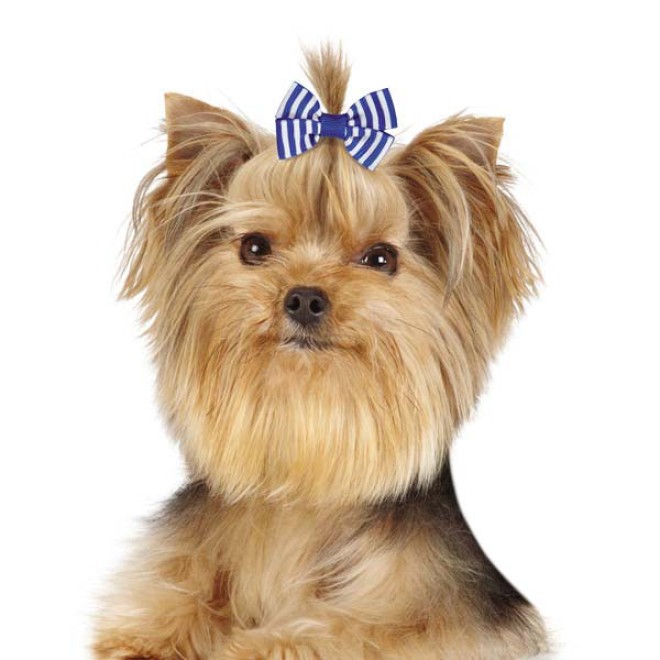 Hunde-Haarschleifen-Set CANDY 5teilig