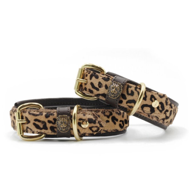 Leopard-Hundehalsband mit Löwenkopf