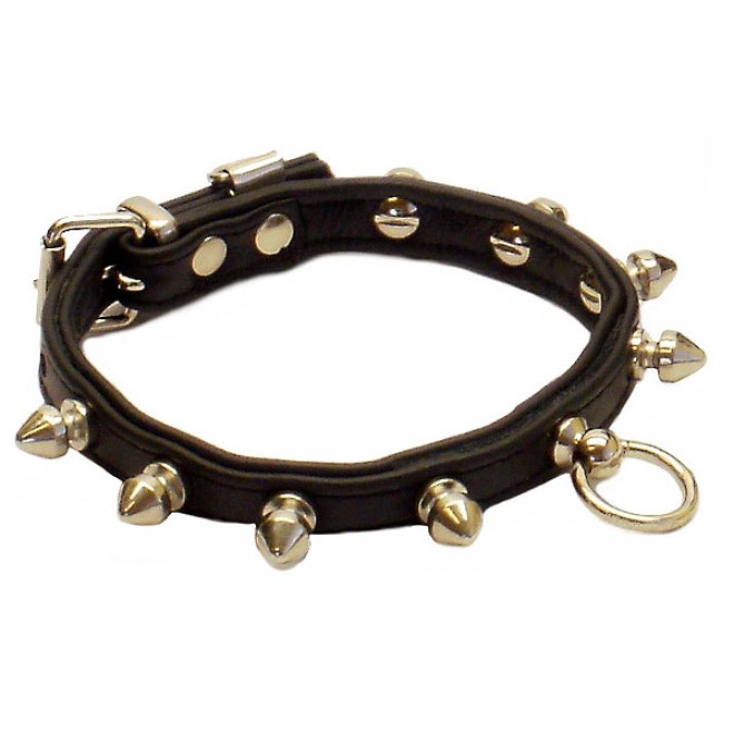 Hundehalsband Baby Punk-Rock 32 cm