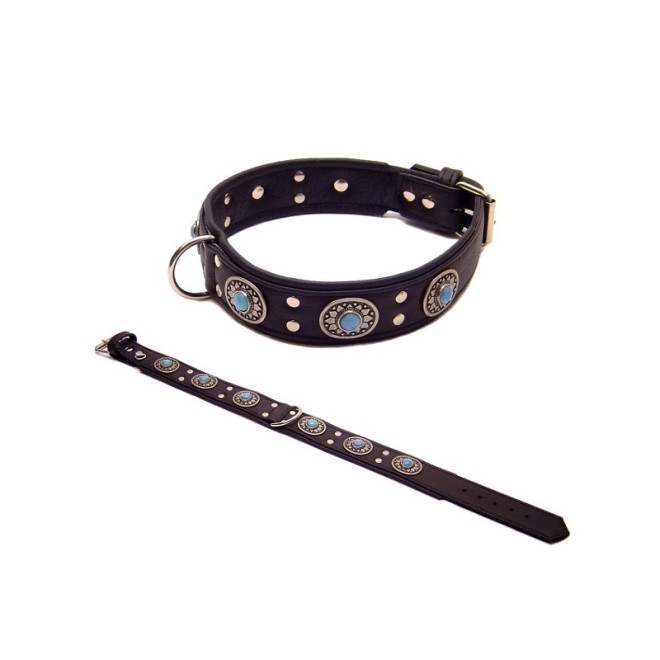 Set Concha Hundehalsband 65 cm & verstellbare Leine