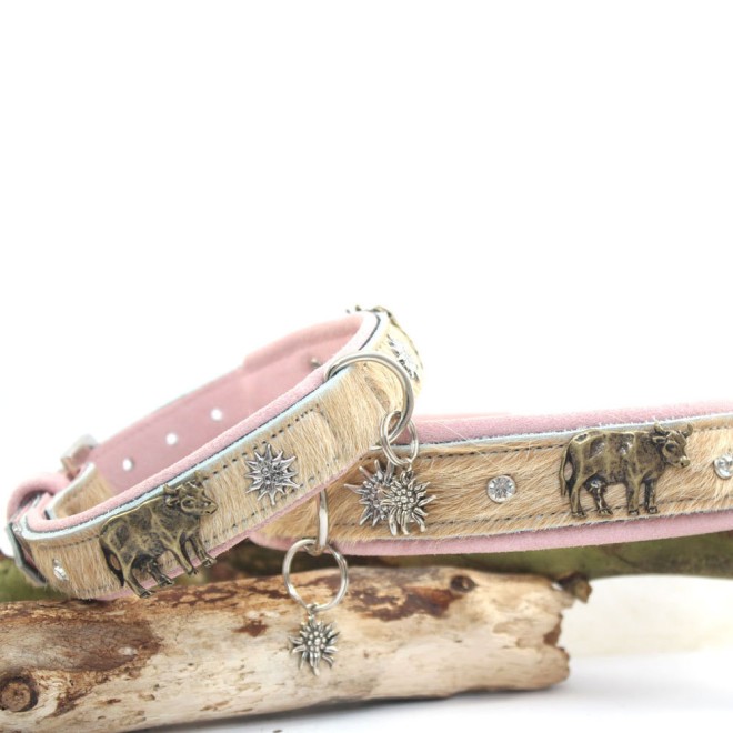 Fell-Hundehalsband Alpenlook mit Kühen & Edelweiß rose