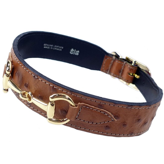 Hundehalsband mit Trensenstück Hardware 22 Karat vergoldet