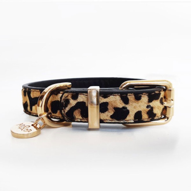 Milk & Pepper Hundehalsband Leoparden-Design