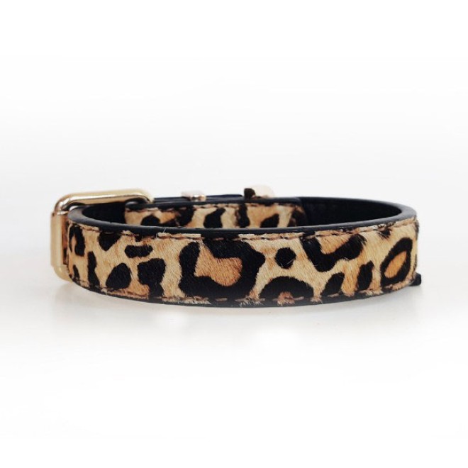 Milk & Pepper Hundehalsband Leoparden-Design
