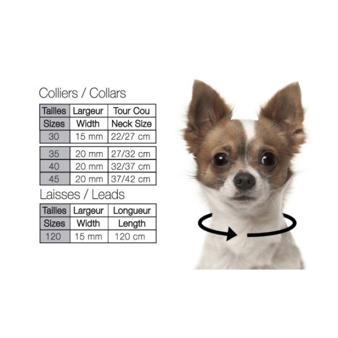 Milk & Pepper Hundehalsband Leoparden-Design