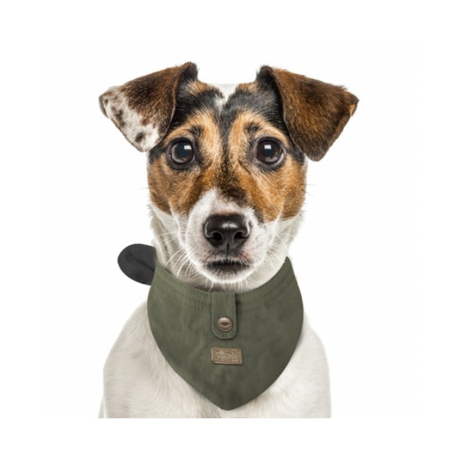 Milk & Pepper Hundehalstuch JEFFERSON Kaki