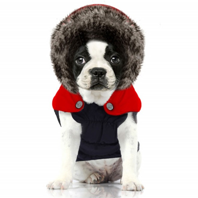 Milk & Pepper Hundejacke Avoriaz mit abnehmbarer Kapuze Gr. 44