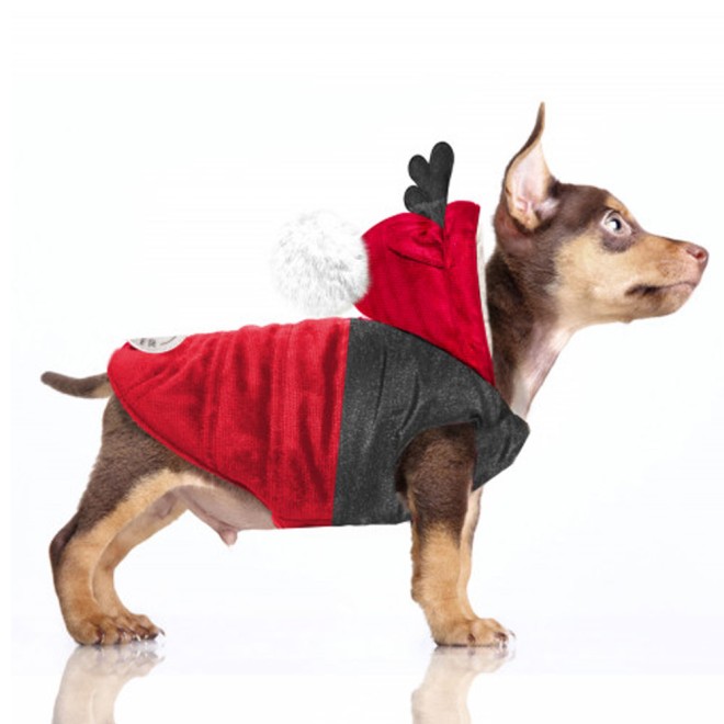 Milk & Pepper Hundejacke Hanki Red für kleine Rassen Gr. 32