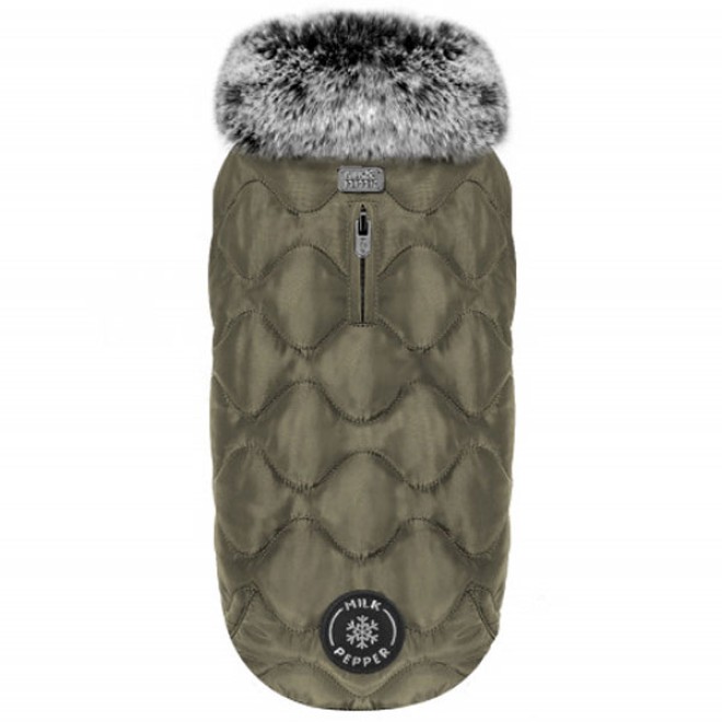 Milk & Pepper wasserabweisende Hundejacke Theodore auch für Mops & Bully