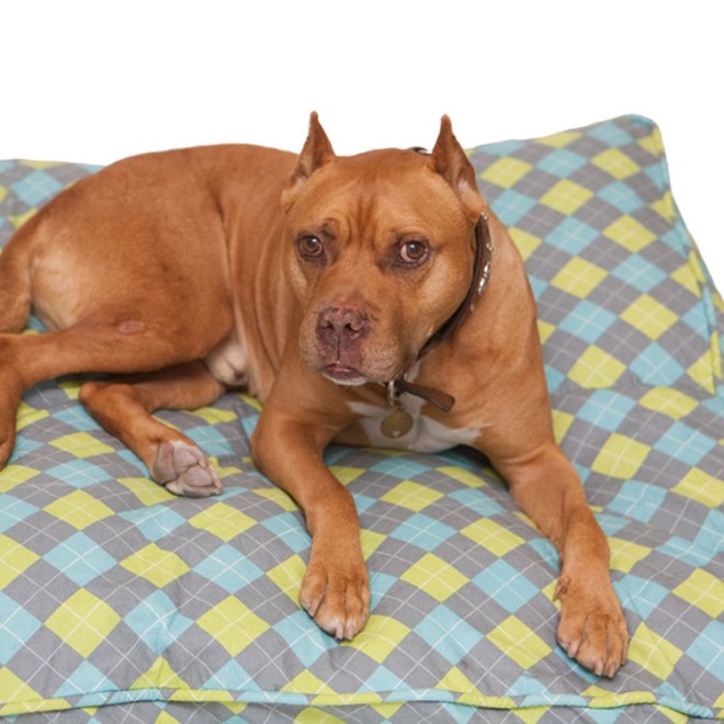 Hundekissen-Bezug zum Selberfüllen Springtime Gr. M/L